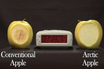 Apel dan kentang rekayasa genetik aman dikonsumsi