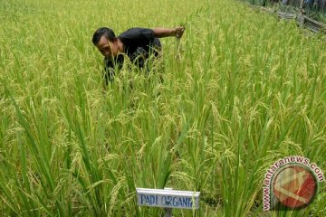 Sistem pertanian mekanis direplikasi di seluruh Jateng