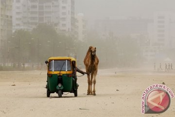 Badai debu di India Utara telan 77 korban jiwa