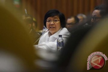 Menteri KLHK : Freeport harus dapatkan rekomendasi lingkungan