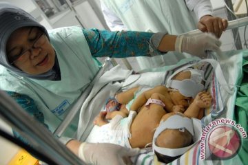 Jalani operasi pemisahan, bayi kembar siam Kendari dirujuk ke RSUD dr Soetomo Surabaya