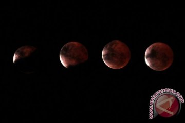 Cara melihat melihat gerhana bulan Super Blue Blood Moon