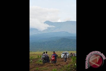 Hutan di Dompu rusak parah