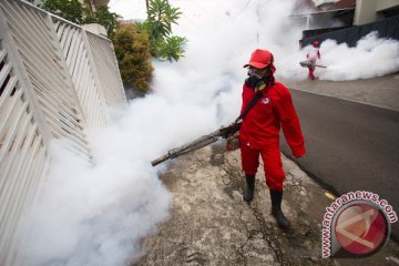 Jakarta ditargetkan bebas DBD pada 2020