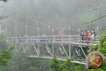 Penghijauan lereng Merapi sejak erupsi sudah 90 hektare