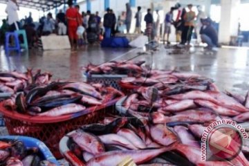 IKAN LAUT