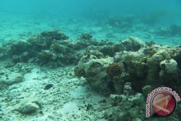Terumbu Karang Rusak