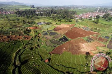 Alih fungsi lahan pertanian picu timbulnya bencana