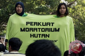 Inpres moratorium baru turunkan emisi disikapi pesimistis Greenpeace