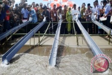 PENEBARAN BENIH RAJUNGAN