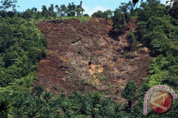 Restorasi hutan perlu kemitraan multipihak