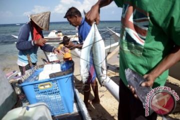NELAYAN PULAU KODINGARENG