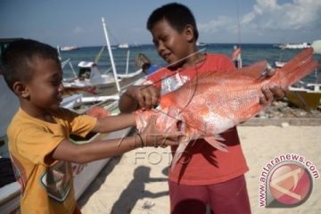 NELAYAN PULAU KODINGARENG
