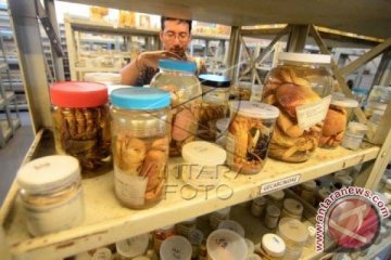 Koleksi Spesies Fauna LIPI