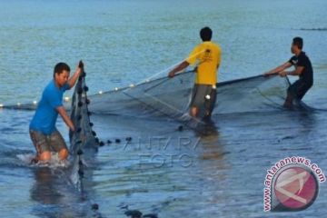 NELAYAN TELUK BUYAT