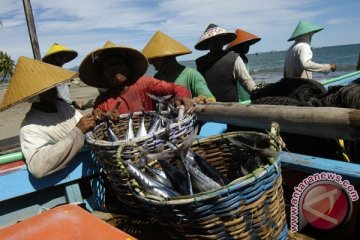 Tangkapan ikan tongkol nelayan Aceh Utara melimpah