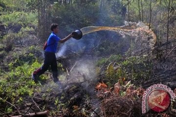 Jumlah titik api di Sumsel meningkat