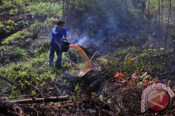 Riau diselimuti asap kiriman Sumsel dan Jambi