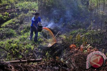 BMKG : 10 titik panas terpantau di Jambi