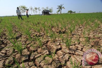 Kekeringan bisa diantisipasi bila ada manajemen air