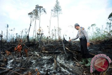 Menhut segera bentuk Desa Siaga Api