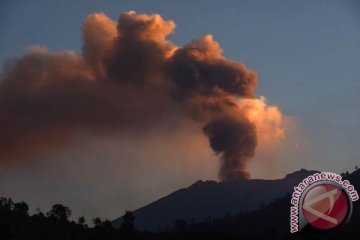 Komisi V DPR minta informasi letusan Gunung Raung diintensifkan