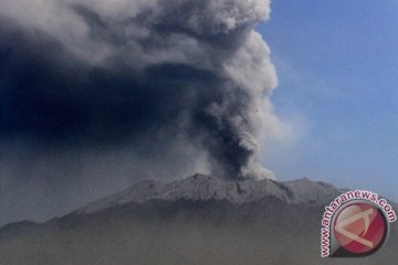 Tinggi asap solfatara di Gunung Raung 1.500 meter