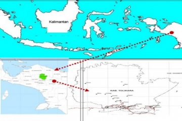 TPF : kembalikan peran adat di Papua