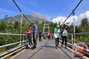 Ratusan peserta tour jelajah Merapi-Merbabu lakukan penghijauan