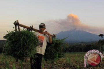 Pembukaan Bandara Abd Saleh Malang belum bisa dipastikan