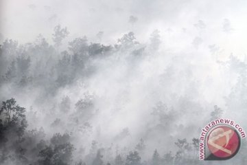 Kabut asap masih selimuti Batam