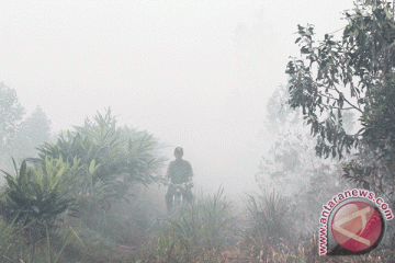 Riau mulai kewalahan tangani kebakaran lahan dan hutan