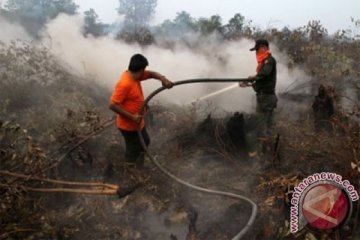 Telah 61 hektare lahan terbakar di Pekanbaru