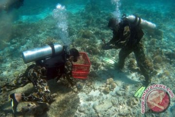 pertamina tanam 500 terumbu karang di bitung