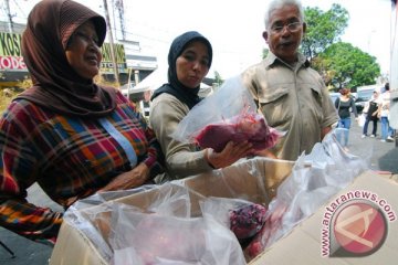 Distributor jual daging sapi Rp80.000 per kilogram