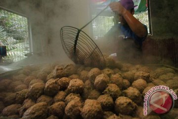 Sainah, penjual bakso tusuk, berpenghasilan Rp90 juta/bulan