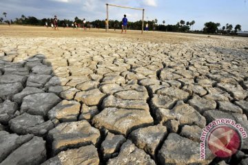 Mulai Oktober hujan turun di Merauke