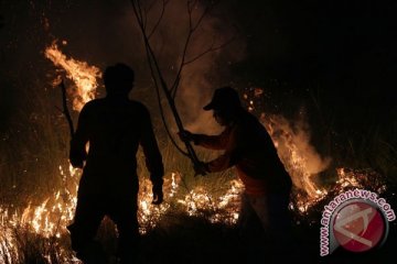 Hutan pendidikan milik IPB di Sukabumi terbakar