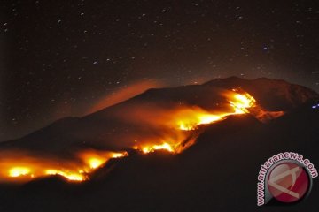185 personel padamkan api Gunung Merbabu