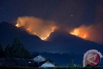 Kebakaran di Gunung Merbabu terus membesar