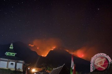 BNPB: kebakaran Gunung Merbabu belum dapat dipadamkan