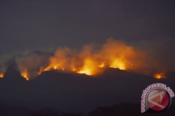 Lima pendaki Gunung Lawu tewas terjebak api