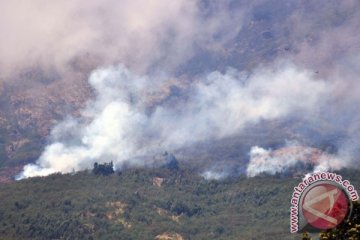 Hutan lereng Gunung Sindoro terbakar