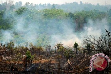 BMKG deteksi 120 titik api di Riau