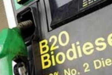 DPR usul Pertamina punya kebun sawit untuk biodiesel