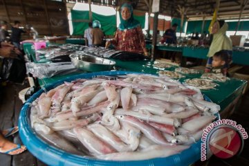 Produk olahan ikan Babel diminati pasar ekspor
