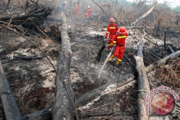 Hampir semua Pulau Sumatera tertutup asap