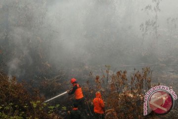 Polres Ketapang tangani laporan pidana kebakaran lahan
