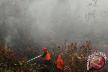 Restorasi gambut Riau butuh dana Rp11 triliun