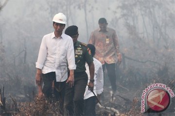 Penerbangan di Bandara Pekanbaru kembali terganggu akibat asap